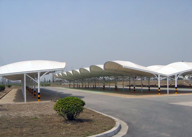 1585814345191781.jpg 2 (41).jpg