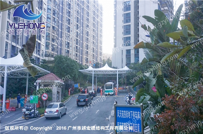 1594976864427996.jpg 1 (49).jpg